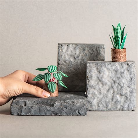 Miniature Plants – Himani's Art Studio