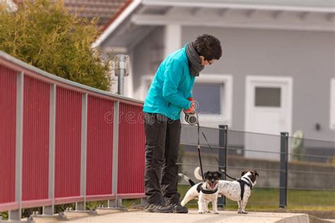 Gilet Addestramento Cani Con TascMultiple - Regolabile, Impermeabile, Per Caccia, Pesca E Allenamento - Foto 10