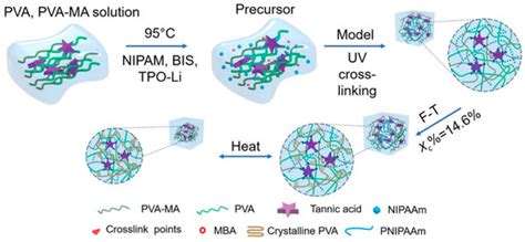 Tough, Stretchable, and Thermoresponsive Smart Hydrogels
