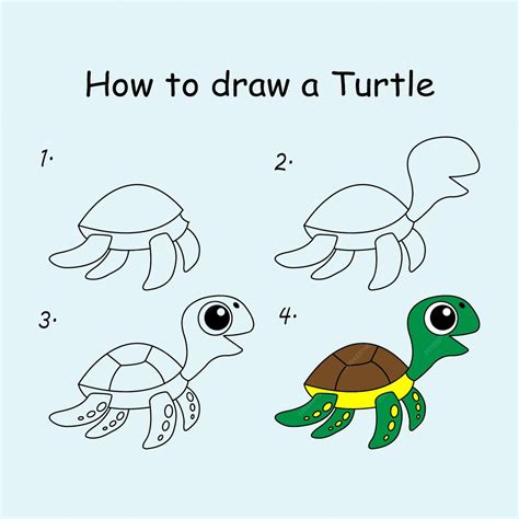 Image result for Turtle Tutorial