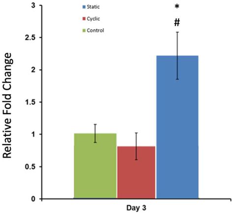 Extracellular Mechanical Stimuli Alters the Metastatic Progression of ...