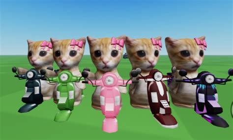 Image result for Exercise Java Exam