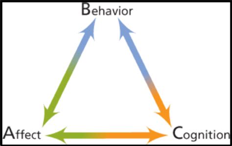Behavior Attitude 的图像结果
