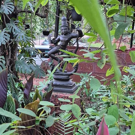 FOREST ESCAPES KOYNA (Goshatwadi) - Villa Reviews, Photos, Rate ...