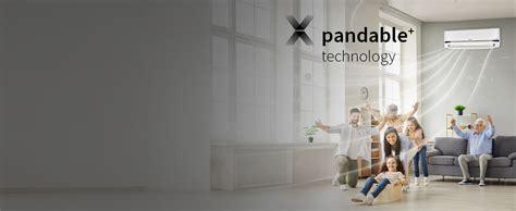 Hitachi 2 Ton 5 Star Xpandable+ Inverter Split AC