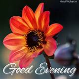 250 + Beautiful Good Evening HD Images with Wishes for Whatsapp