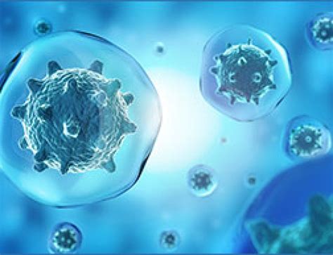 RNA Sequencing Method 的图像结果