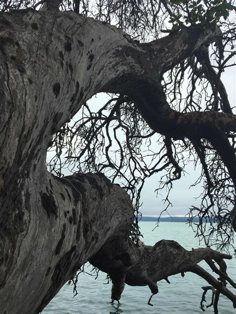 Seal Rock Campground in Olympic National Forest, Washington: Reviews ...