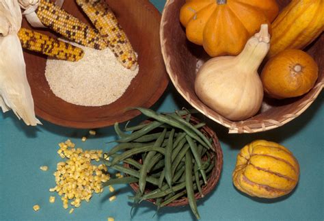 food First Thanksgiving, Thanksgiving Traditions, Plimoth, American ...