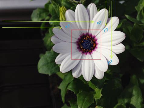 Image Processing Pil Using Python Anaconda Notebook 的图像结果