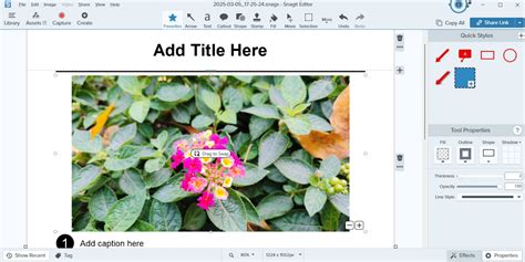 Snagit Demo 的图像结果