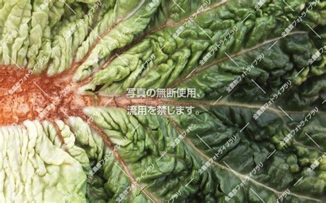 Image result for Testing Code for Hand Phone