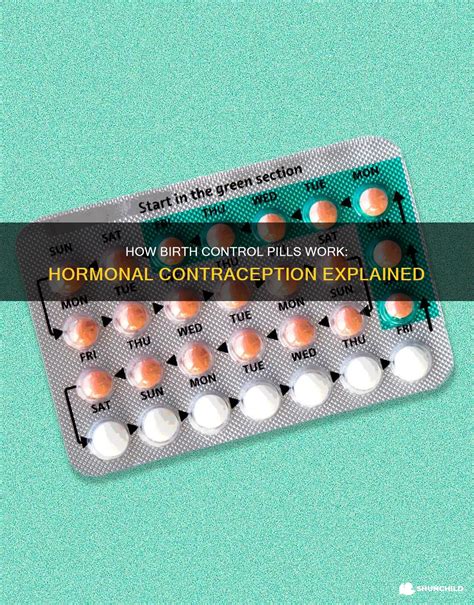 How Birth Control Pills Work: Hormonal Contraception Explained | ShunChild