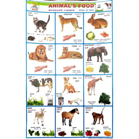 Animal's Food School Project Chart Stickers - Clickere