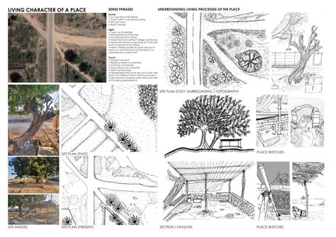 Entwining Life: A Water Pavilion | CEPT Summer Exhibition 2022