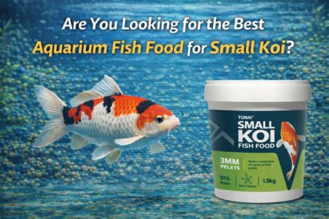 Are You Looking for the Best Aquarium Fish Food for Small Koi Fish ...