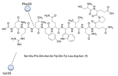 Computer-Assisted Design of Peptide-Based Radiotracers