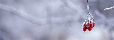 Boron Funeral Home | Pittsburgh PA funeral home and cremation