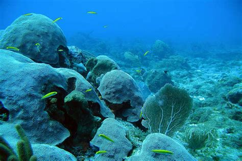 Snorkeling In Israel: 6 Spots That You Must Visit In 2026