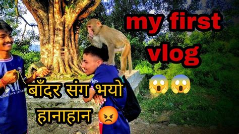 Image result for Monkey Blog