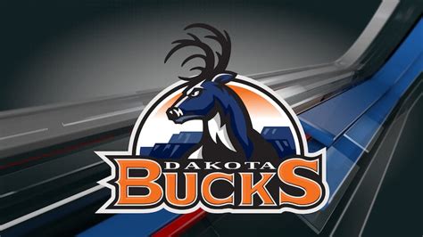 Dakota Bucks to stay dormant for 2025 season