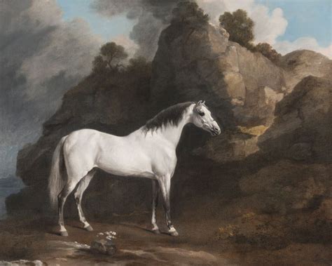 Rycote Arabian Horse - George Stubbs - Equestrian Painting - Life Size ...