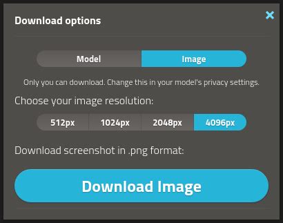 p3d.in - Blog - Background and Branding
