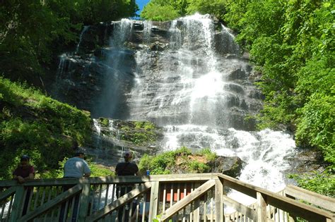 Amicalola Falls Appalachian Trail | Lilly Pad Village Blue Ridge