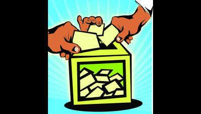 Pernem, Mandrem MLAs find turfs overlapping for ZP polls | Goa News ...