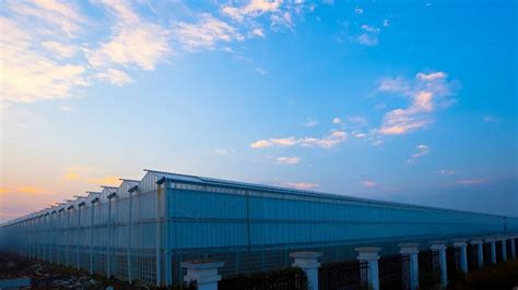 中国西部地区最大！西南智慧农业项目在眉山建成并运营！_温室