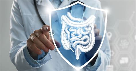 Gut Health: The Best Supplements for Digestive Health