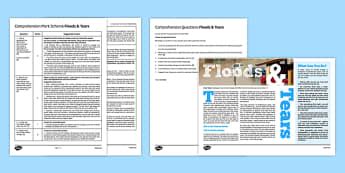 KS3 Reading Comprehension Resources | Beyond - Twinkl