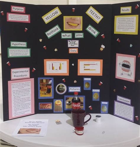 Image result for Science Working Project Class 4