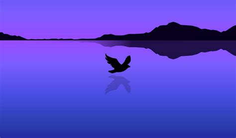 Download wallpaper 1024x600 bird, flight, water, reflection, vector ...
