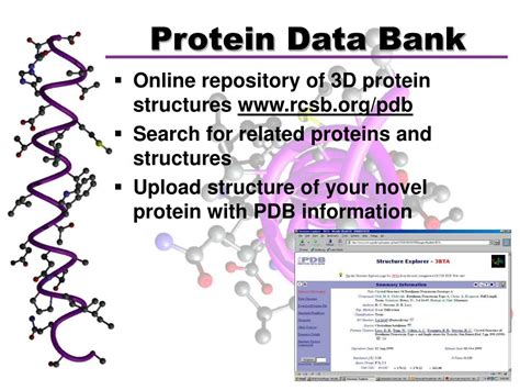 Image result for Protein Data Bank Protein Structure Visualization