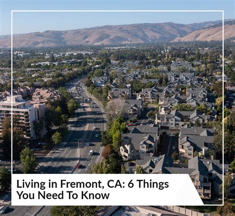 Living Spaces Hours Fremont at Patricia Mahmood blog