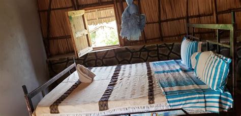 Awash National Park Images - Vacation Pictures of Awash National Park ...