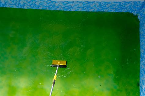 Image result for Pool Phosphate Check