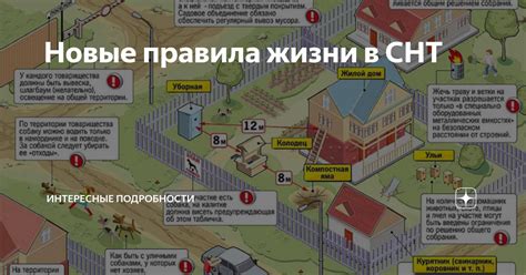Что такое участок ИЖС, СНТ, ДНП: чем отличаются эти виды земель, в чем ...