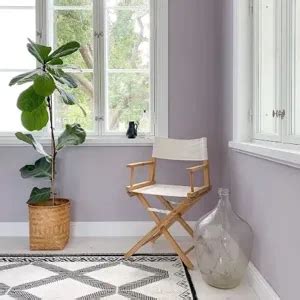 Mid-tone purple paint colors reviews