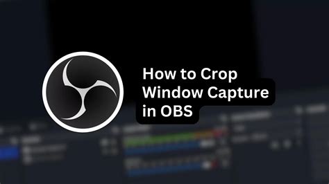 Image result for OBS Window Screen Capture