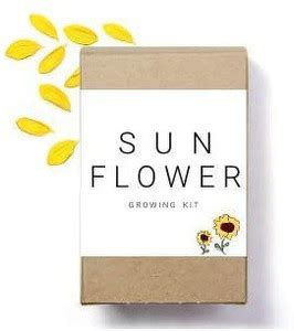 CYBEXIS Sunflower Growing Kit Seed Price in India - Buy CYBEXIS ...