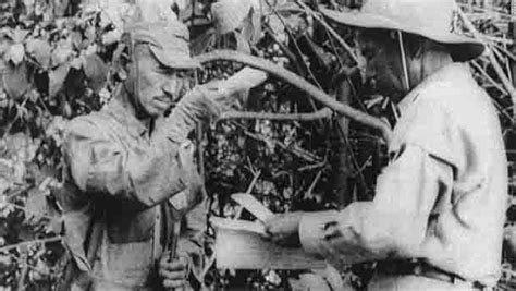 The Story Of This Japanese Soldier Who Refused To Surrender For Over 3