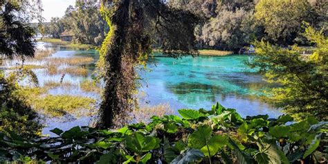 Discover Rainbow River: Guided SCUBA Tours for All Levels, 9435 SW ...