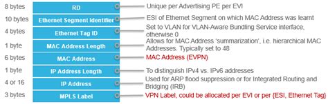 Image result for Evpn Tutorial