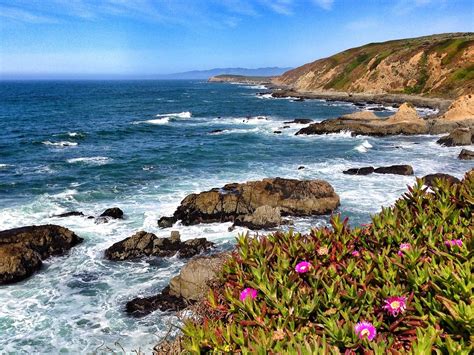 Best Restaurants in Marin County - Eater SF