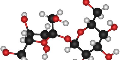 Cracking the Sugar Code: Why the 'Glycome' is the Next Big Thing in ...