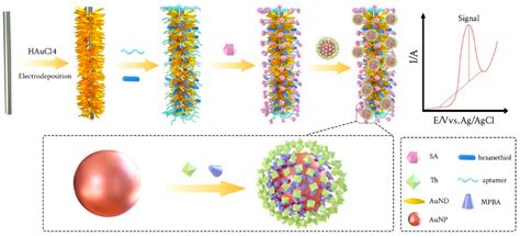Bio-Tailored Sensing at the Nanoscale: Biochemical Aspects and Applications