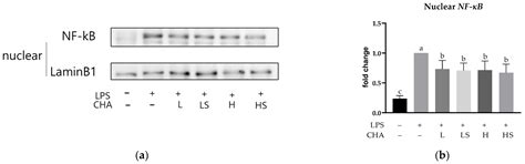 Anti-Inflammatory Activity of Chlorogenic Acid on Macrophages: A ...