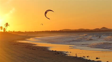 Kite 的图像结果